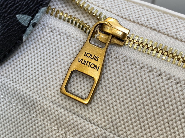 Louis Vouitton Backpack