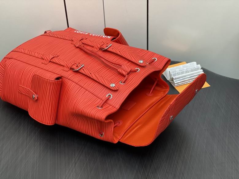 Louis Vouitton Backpack