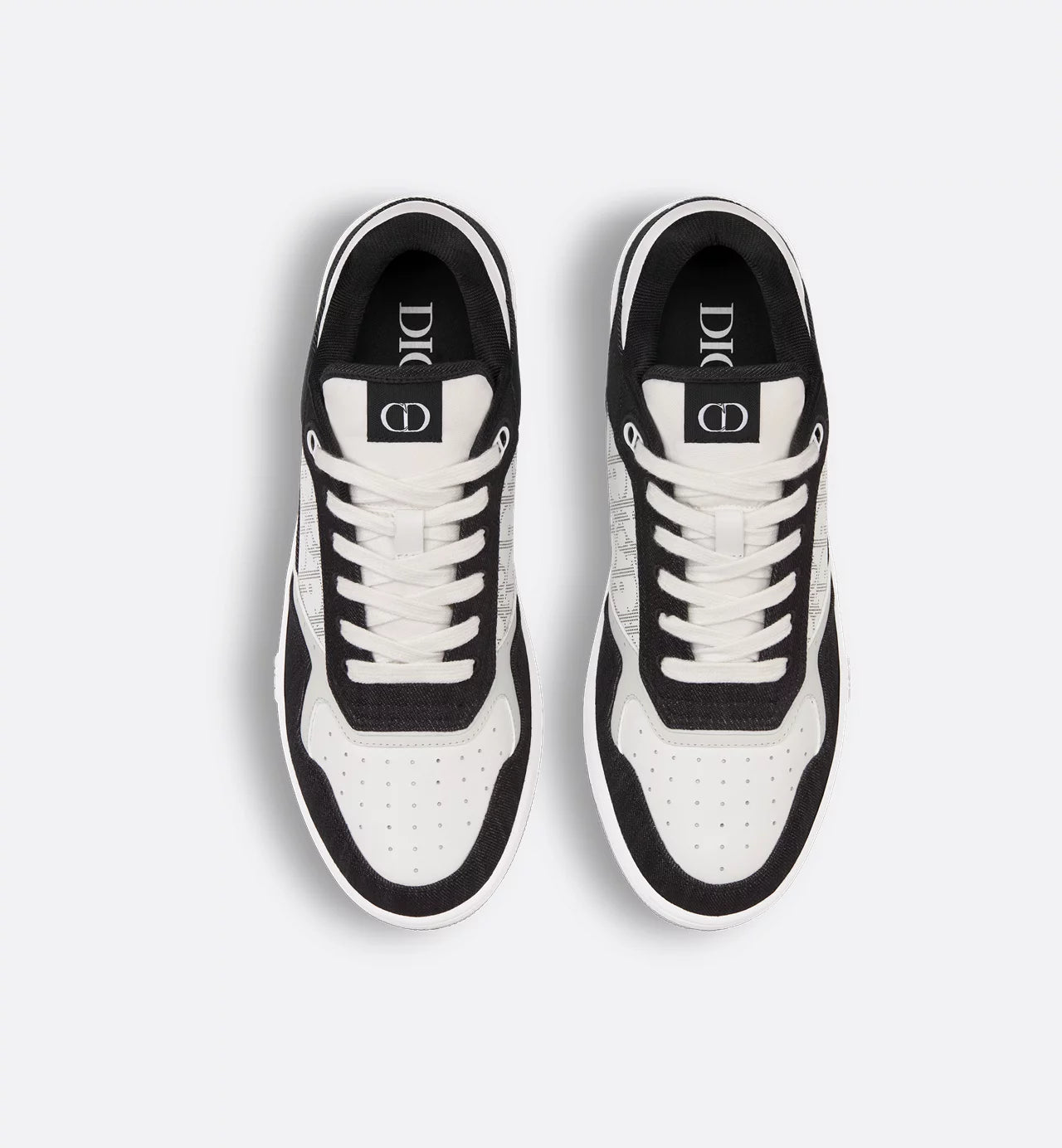Dior B27 Low-Top