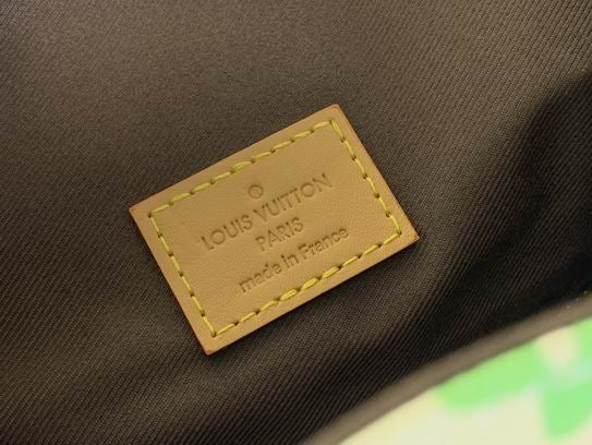 Louis Vouitton Backpack